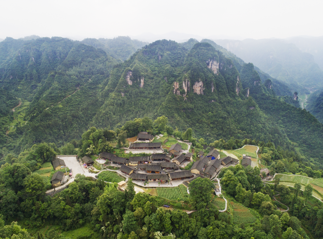 一个十八洞村荣誉村民的故事 - 筑梦书屋网